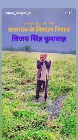 भांडेर तहसील के तालगांव में बारिश होने से भारी नुकसान