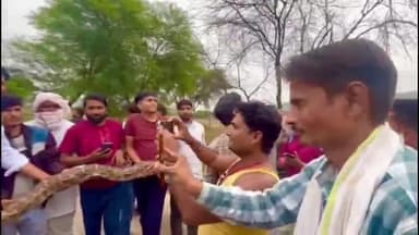 वज़ीरपुर: वजीरपुर के निकटतम गांव ताजपुर में 12 फीट लम्बे अजगर निकलने से मचा हड़कंप, लोगों की भीड़ हुई इकट्ठा