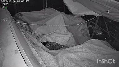 शाजापुर: अब फ्रूट ठेले भी सुरक्षित नहीं, ट्राफिक पॉइंट के सामने ठेले में हुई चोरी, CCTV फुटेज आया सामने, कोतवाली थाने में शिकायत