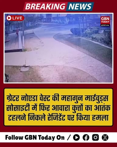 ग्रेटर नोएडा वेस्ट की महागुन माईवुड्स सोसाइटी में फिर आवारा कुत्तों का आतंक #GreaterNoidaWest #MahagunMywoods #StrayDogs