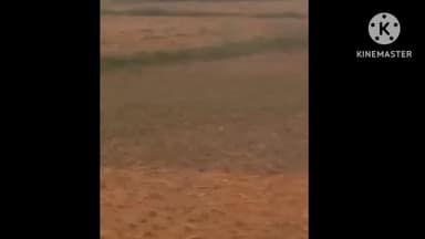 मेजा: मेजा में तीन दिन से हो रही बेमौसम बारिश, धान की फसल को हुआ भारी नुकसान, जनजीवन प्रभावित