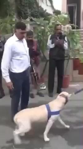 जयपुर: राजस्थान हाई कोर्ट के जयपुर स्थित परिषद को बम से उड़ाने की मिली धमकी