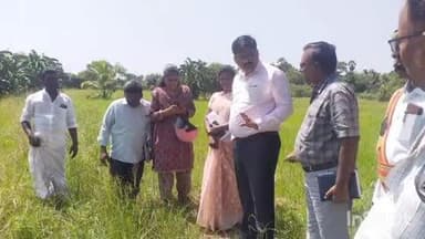 கூத்தாநல்லூர்: திருராமேஸ்வரம் பகுதியில் பயிர் சேதம் அடைந்துள்ளதை வேளாண்மை அலுவலர்கள் நேரில் ஆய்வு