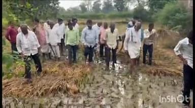 सालेकसा: भाजेपार येथे अवकाळी पावसामुळे नुकसान झालेल्या धानाची माजी आमदार सहेसराम कोरोटे यांनी शेतामध्ये जाऊन केली पाहणी