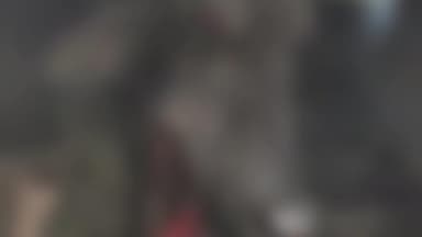 सिमरिया: हरदुआ खमरिया में विस्फोटक खाने से चार भैंसें घायल, जबड़े फटे, पुलिस जांच में जुटी