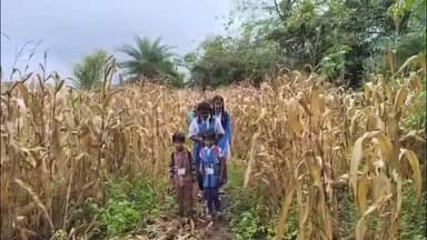 छपारा: छपारा नगर परिषद के शिवाजी वार्ड के रनबन टोला में नहीं है पहुंच मार्ग.#Jansamasy