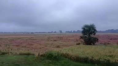 सरमेरा: सरमेरा में बारिश से किसानों की बढ़ी चिंता