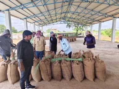 హుస్నాబాద్: హుస్నాబాద్ మార్కెట్ యార్డ్ లో మొంథా తుఫాను ప్రభావంతో తడిసిన ధాన్యాన్ని కొనుగోలు చేసిన అధికారులు