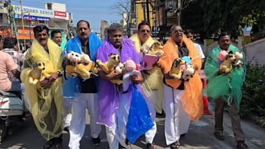 தாம்பரம்: மாநகராட்சி அலுவலகத்திற்கு நாய் மாடு பொம்மைகள் உடன் கொசு வலையை போர்த்திக் கொண்டு மாமன்ற கூட்டத்தில் பங்கேற்ற உறுப்பினர்கள்