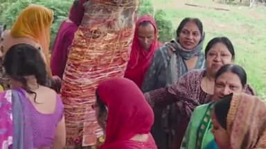 बाजपुर: प्राचीन शिव मंदिर परिसर में आंवला नवमी का पर्व उत्साहपूर्वक मनाया गया, महिलाओं ने सुख-समृद्धि की कामना की