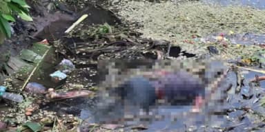 పోటుమీద గ్రామం వద్ద గుర్తు తెలియని మగ వ్యక్తి మృతదేహం లభ్యమైంది