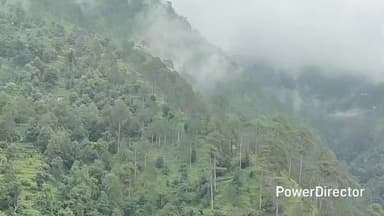 नैनीताल: समीपवर्ती देवीधूरा गांव में प्रतिमाह बिजली के बिल नहीं पहुंचने से ग्रामीणों को दिक्कतों का सामना करना पड़ रहा