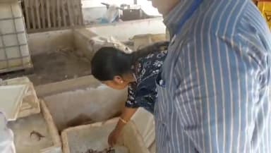 சிங்கம்புனரி: சிங்கம்புனேரி மீன் மார்க்கெட்டில் உணவு பாதுகாப்புத்துறை அதிகாரி திடீர் ஆய்வு. கெட்டுப்போன மீன்கள் பறிமுதல்.