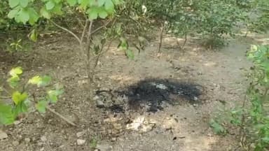 மண்ணச்சநல்லூர்: சமயபுரம் அருகே சனமங்கலம் பகுதியில் எரிந்த நிலையில் கல்லூரி மாணவி சடலம் மீட்பு -மாணவி எரித்துக் கொலையா என போலீசார் விசாரணை