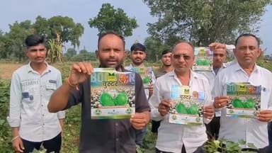 शिरपूर: बूस्टर बियाणे कंपनीने शेतकऱ्यांना फसवले;वाडी गावातील २० ते २५ शेतकरी आर्थिक संकटात, #jnsamasya