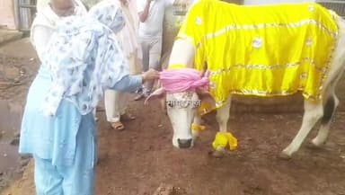 बहीन: कान्हा गोशाला बहीन में मनाया
गोपाष्टमी पर्व