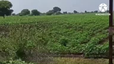 कारंजा: बँकेच्या कर्जापोटी शेतकऱ्यांनी केली विहिरीत उडी घेऊन आत्महत्या खैरवाडा शिवारातील घटना...