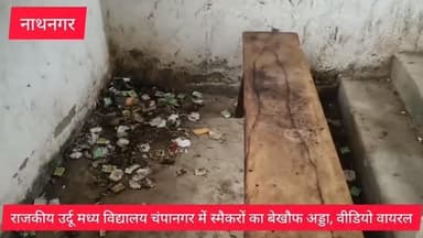 राजकीय उर्दू मध्य विद्यालय चंपानगर में स्मैकरों का बेखौफ अड्डा, वीडियो #virelvideo