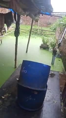 meera chak maner ward no.10 jal jamao ke karan bahut pareshan hai yaha ki janta