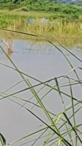 jimmedar nadaradarad krapya adhikari dyan de