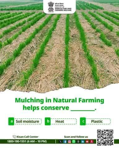 In #NaturalFarming, which plant is often used as a natural pesticide? #AgriGoI #AgriQuiz #Quiz #Agriculture