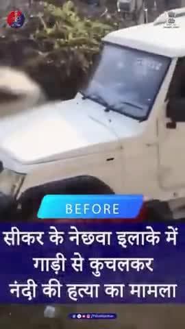 राजस्थान पुलिस : मानवीय क्रूरता को करारा जवाब
#JusticeForNandi
#RajasthanPolice
#UdaipurPolice
#ZeroTolerance