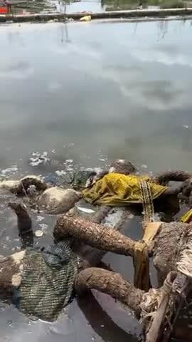 🚩 विश्व हिन्दू परिषद – बजरंग दल, कुक्षि
कापसी नदी पर जाकर बजरंग दल ने मूर्तियो को करा विसिर्जन