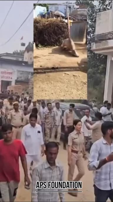 My salute to Rajasthan Police..!
And thanks for support 🙏🏻
#apsgurjar #justice #rajasthan #police