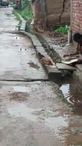 कोचहासा पंचायत भुवापुर कॉलोनी चमटोली गांव में नाली वाला पानी के रूकावट किया जा रहा है || इस गांव में मुखिया कुछ नही करता