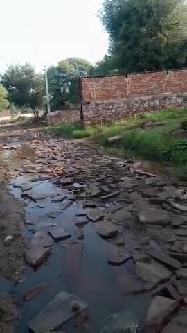 बाजना खुर्द जाटव बस्ती हिंडौन सिटी करौली
#todaynews न्यूज