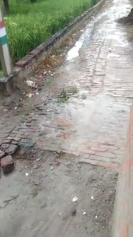 ग्राम इनायतपुर जिला संतकबीर नगर 8 से 10 साल हो गया इस पर कोई ध्यान नहीं दे रहा है खम्मा लगा है तार लगा है लाइट नहीं आया