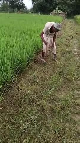 chakma per jabardasti kabja kar rakha hai gata 2101 hai Jo Chak Marg ki Bhumi hai dabanggai balpurvak kabja kar raha hai