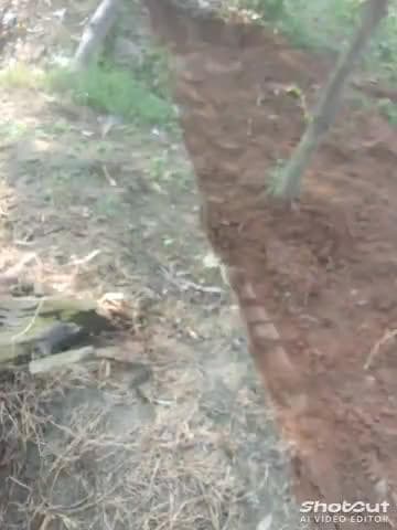 उत्तर प्रदेश की नई खबर तो जुड़े रहिए रोज नई खबरों के लिए