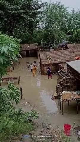 गाढ़ा हसन पारू थाना 11नंबर वार्ड दक्षिणी । में भीषण बारिश होने से 20घर पानी में डूबा #आजतक