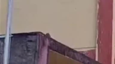 गंडई में ठेले पर अवैध शराब पिलाने वाले को किया गया गिरफ्तार