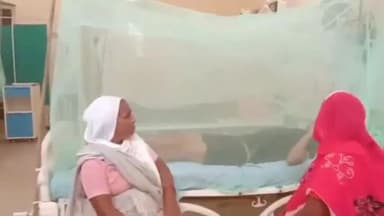 बरेली: जिले में एक मरीज में डेंगू बुखार की पुष्टि, डेंगू वार्ड में किया गया भर्ती