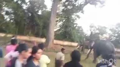 ನರಸಿಂಹರಾಜಪುರ: ಗುಡ್ಡೆಹಳ್ಳಕ್ಕೆ ಬಂದಿಳಿದ ಆನೆಗಳು.! ನಾಳೆಯಿಂದ ಒಂಟಿ ಸಲಗ ಸೆರೆ ಕಾರ್ಯಾಚರಣೆ.!