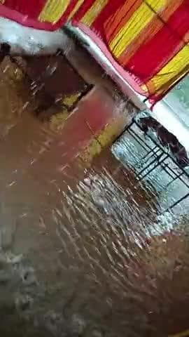 BANGRA BANSIDHAR. BHOLA BHAGAT KE PANIYON SE BHAR GAYA