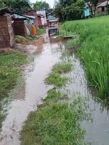 भारी बारिश के कारन सभी रोड नाडी नहर ब्लॉक है परोहा डुमरा सीतामढ़ी सरकार से निवेदन है हम लोग का हेल्प करे रहने + खाने कि