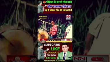 भेड़िया के डर से लोग ढ़ोल बजाकर गोले दागकर रातों में जाग रहें है फ़ॉरेस्ट टीम की निगरानी में ! #bhediya