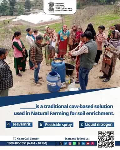 Which is a traditional cow-based solution used in #NaturalFarming for soil enrichment?
#AgriGoI #AgriQuiz #Quiz