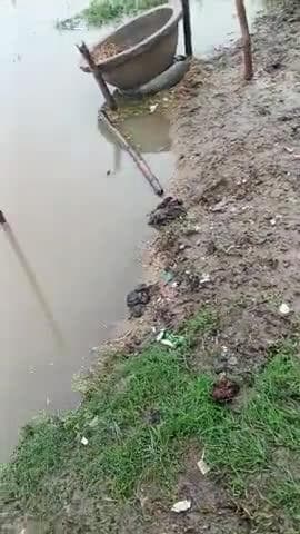 kamariya bajar ka sthiti