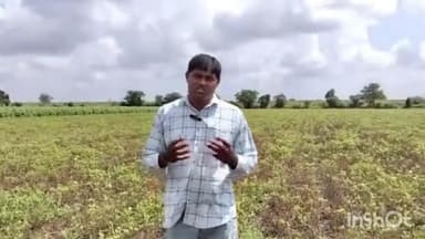 ભાણવડ: ખેતરથી ખેડૂતની પીડાના પ્રશ્નો અંગે વિરેનભાઈ નકુમ aap નેતા જિલ્લા પ્રવક્તા વેરાડ ગામ ખાતેથી પ્રતિકિયા આપી