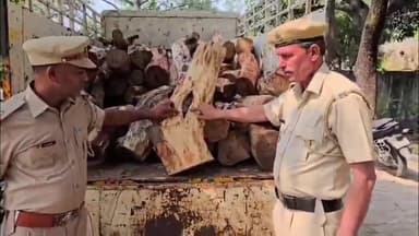 छछरौली: छछरौली में वन और वन्यजीव विभाग की टीम ने खैर से लदा एक टैंपू पकड़ा