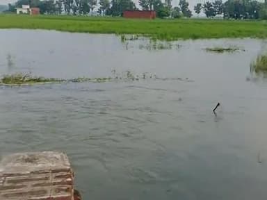 yah pachor gaon takiya ke samay Gujarat 2:00 baje pani ka bag jo hai ki jalster badh gaya hai yah dhaan ka sthiti aap lo