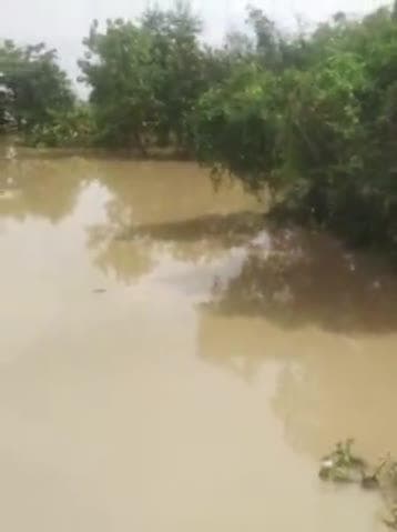 दर्जिया में आये भयानक बाढ़