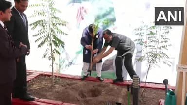 Planted a Sidr sapling at Embassy of India, Doha premises as part of PM Narendra Modi ji's #EkPedMaaKeNaam initiative.