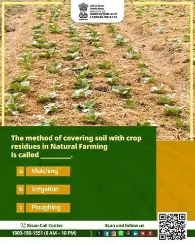 What is the method of covering soil with crop residues in #NaturalFarming called?
#AgriGoI #AgriQuiz #Quiz
