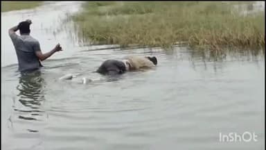 యాలాల్: యాలల మండలం శివసాగర్ ప్రాజెక్టులో నీట మునిగి పకీరపఅనే యువకుడు మృతి