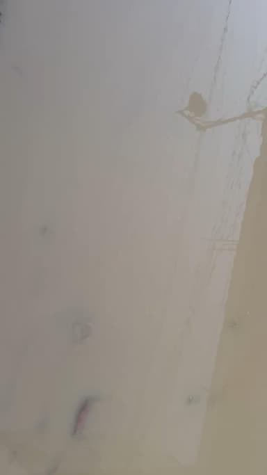 ਧੂਰੀ: ਮੀਹ ਪੈਣ ਕਾਰਨ ਜਿੱਥੇ ਗਰਮੀ ਤੋ ਰਾਹਤ ਮਿਲੀ ਉਥੇ ਹੀ ਕਈ ਸੜਕਾ ਅਤੇ ਗਲੀਆ ਚ ਖੜਿਆ ਪਾਣੀ ਲੋਕ ਆਉਣ ਜਾਣ ਤੋ ਵੀ ਹੋਏ ਔਖੇ